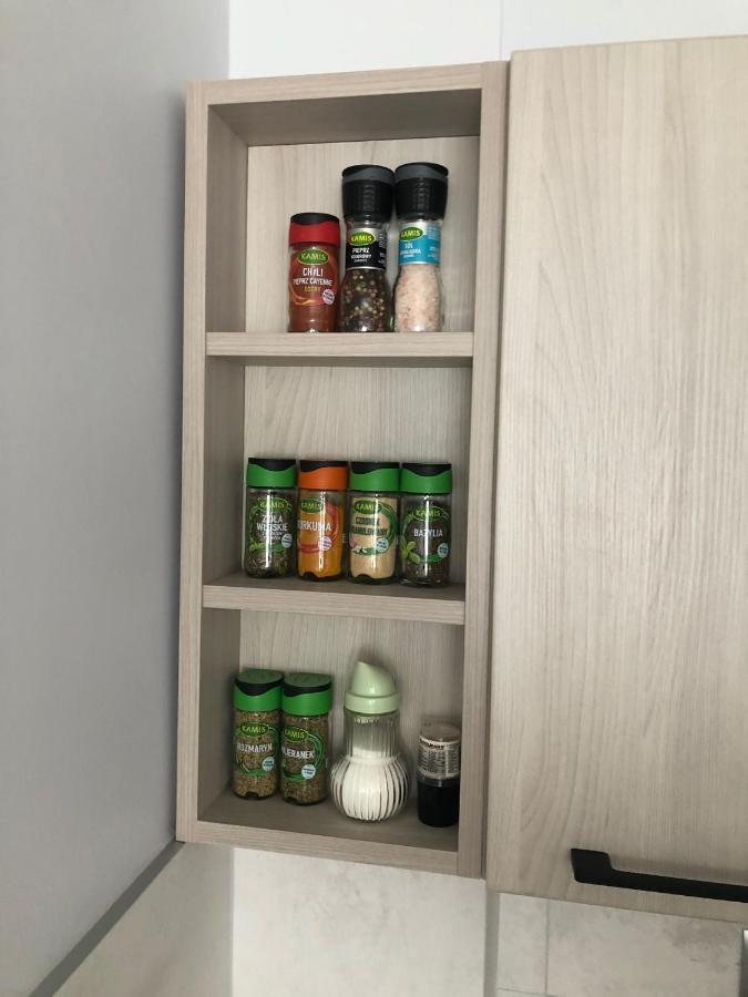 Апартаменти Apartament Na Wierzbowej Parter Кендзєжин-Кожлє Екстер'єр фото